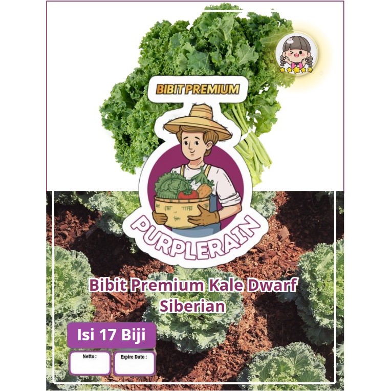 Bibit Premium Kale Dwarf Siberian Cocok Untuk Keripik Kale|Biji Benih Kale Dwarf Siberian