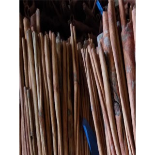 

KULITKAYUMANISJENISSTIKCAMPURAN