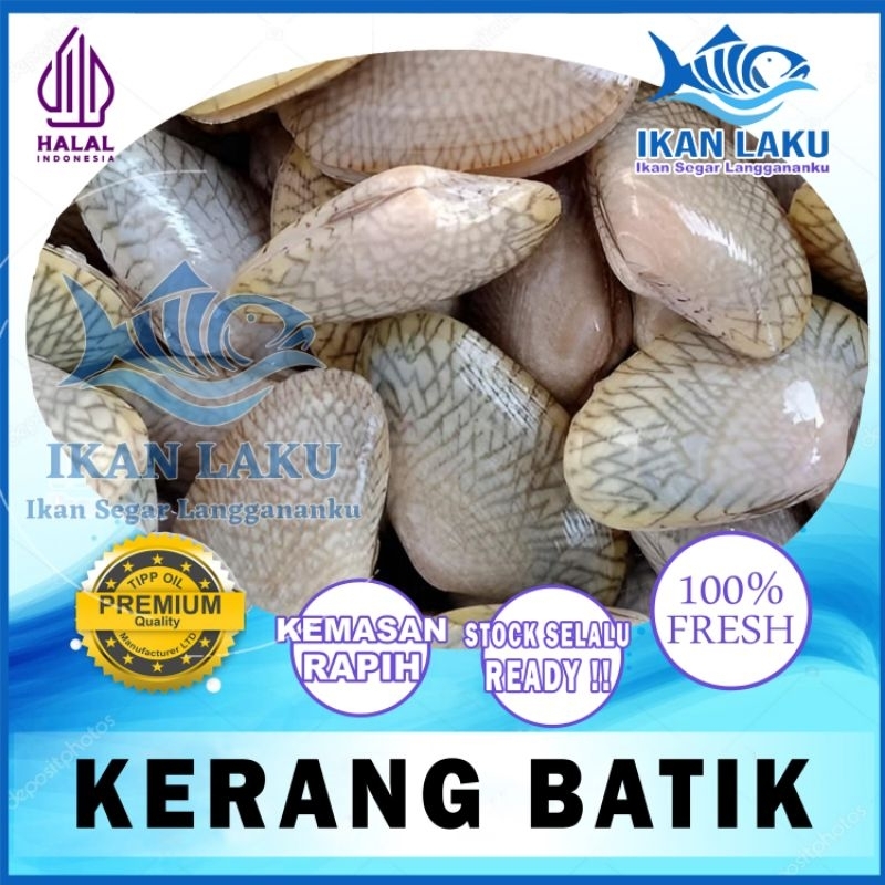 

KERANG BATIK PREMIUM FRESH TERMURAH BERGARANSI IKAN LAKU IKAN SEGAR IKAN BEKU