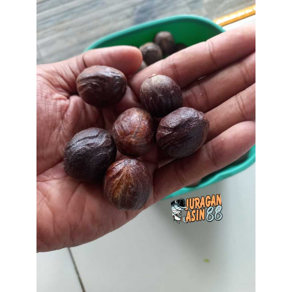 

Biji pala utuh / Nutmeg seeds