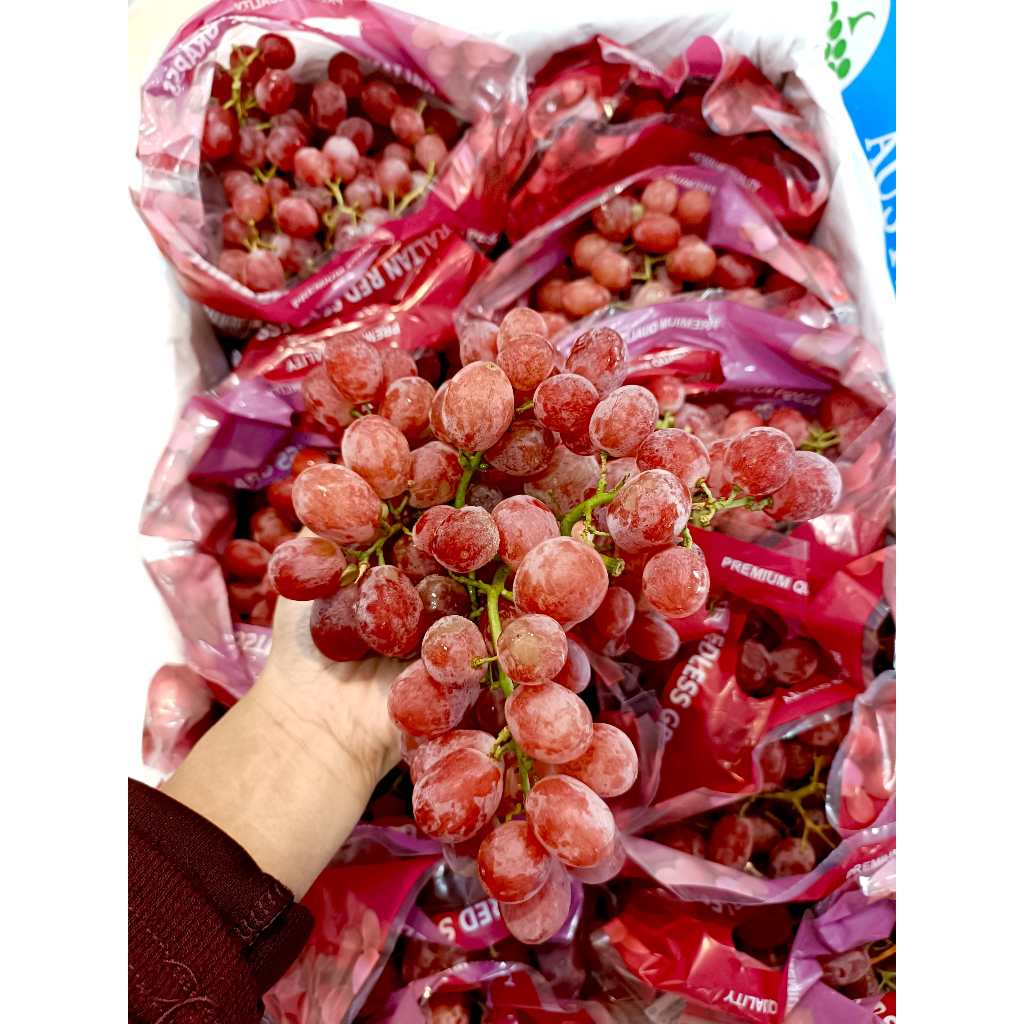 

ANGGUR RED RALLY AUSTRALIA - SEEDLESS - SUKABUAH