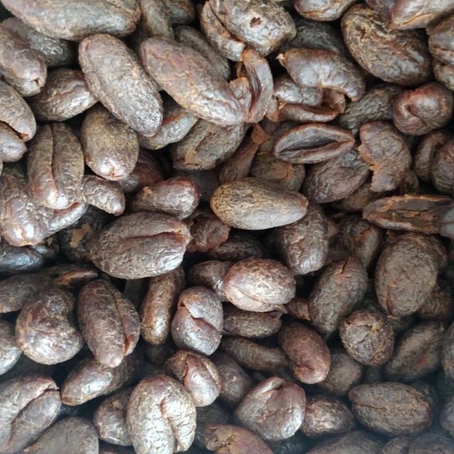 

Ay00! MANISAN BUAH ZAITUN PRESERVED OLIVES HAI WAN QIAO 250g