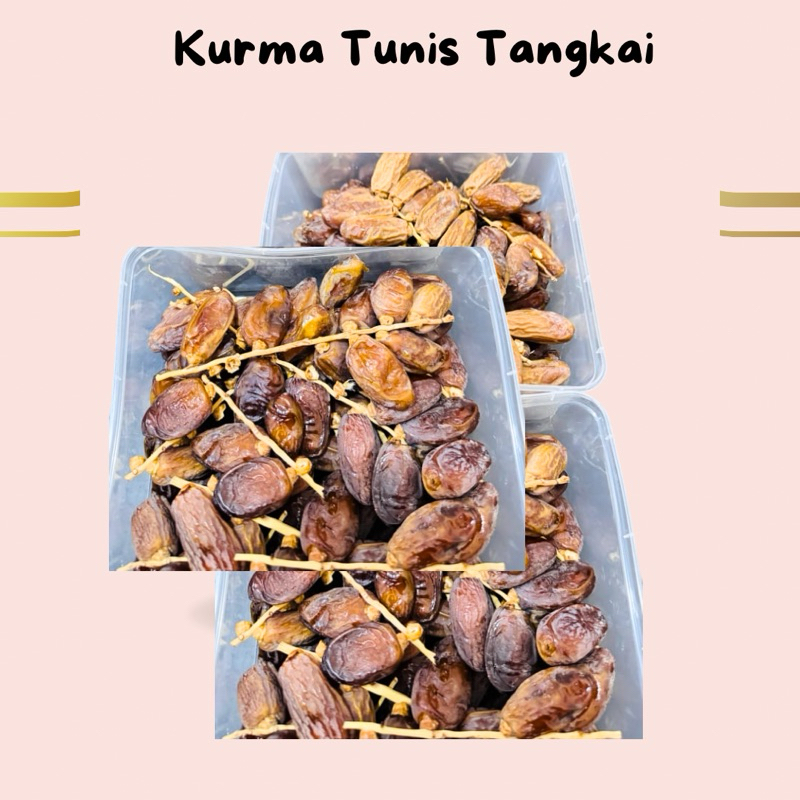 

KURMA TUNISIA TANGKAI