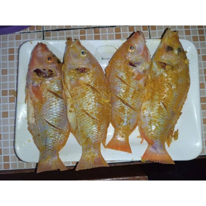 

ikan nila merah bumbu