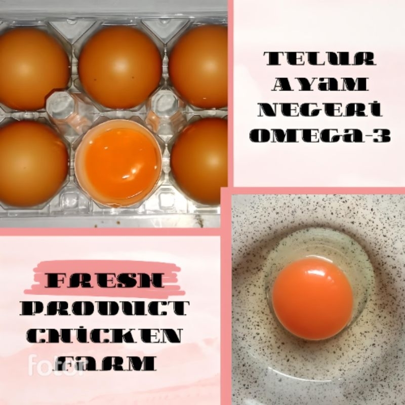 

Telur ayam negeri omega-3