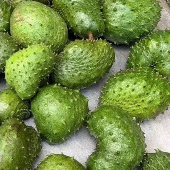

SIRSAK / SIRSAT / SURIKOYO