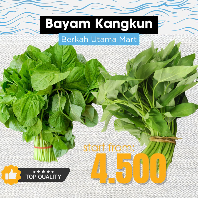 

Bayam 1 ikat Kangkung 1 ikat Fresh sayuran KIRIM INSTAN BANDUNG