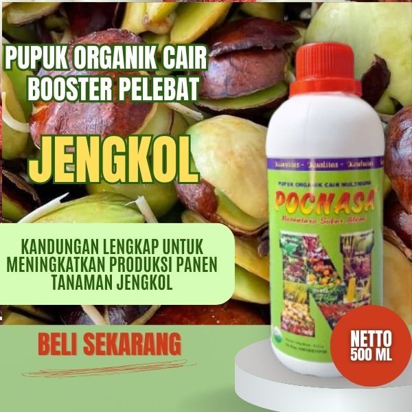 Pupuk Jengkol / Pupuk Jengkol Cepat Berbuah / Pupuk Jengkol Muda / Pupuk Jengkol Tua / Tua Mentah