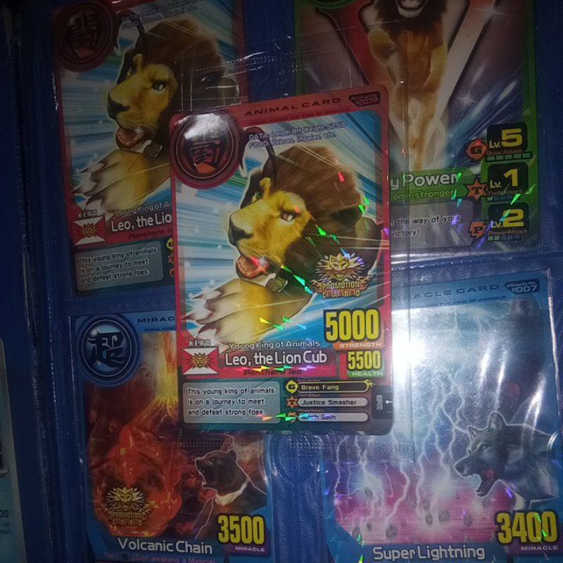 Promo Pack Animal Kaiser+