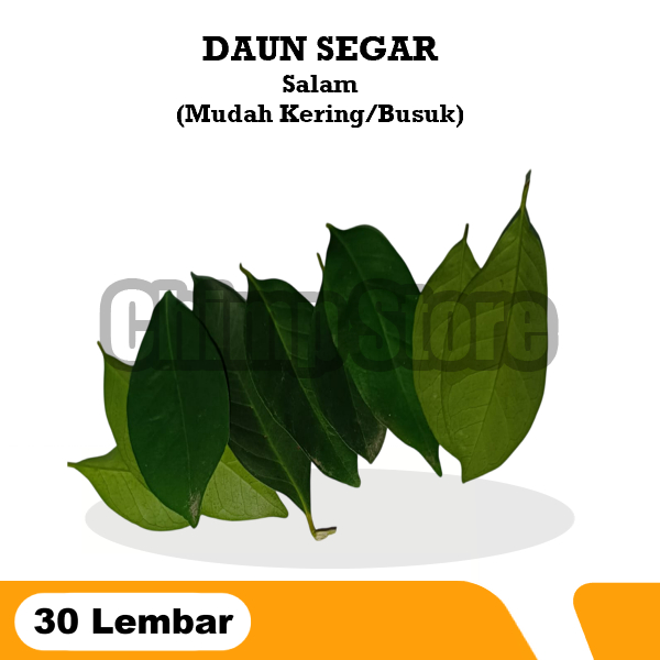 

Daun Salam 30 Lembar Bumbu Rempah Masakan