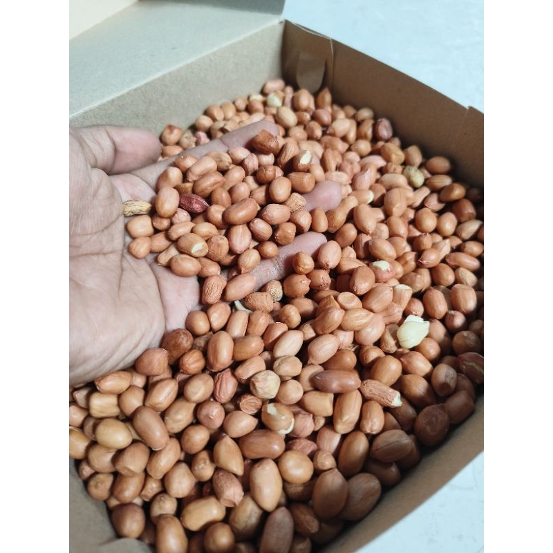 

KACANG TANAH kacang sambel
