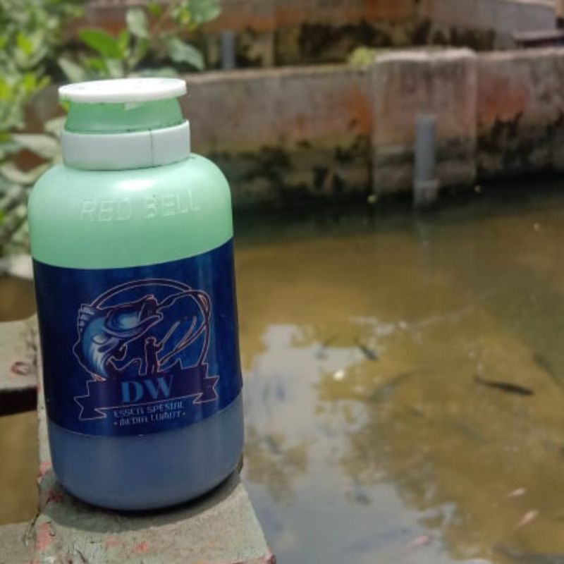 essen DW spesial media lumut