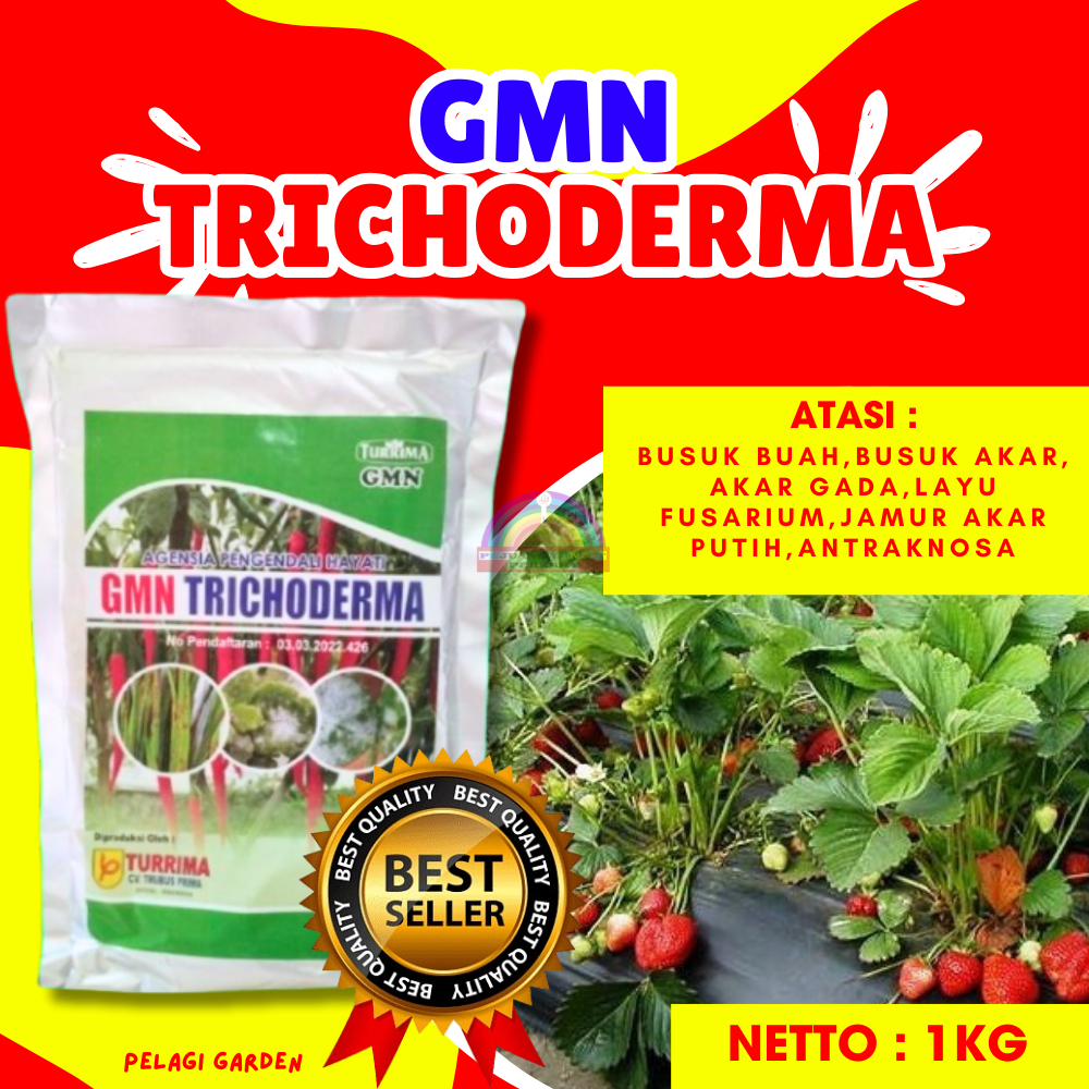 TERJAMIN   Fungsida Hayati Tricoderma Layu, Fungsida Hayati Tricoderma Padat Berat 1000g, Fungsida H