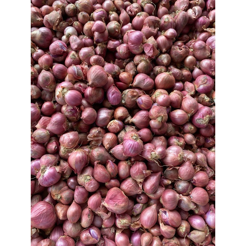 

BAWANG MERAH / BRAMBANG 250 gr