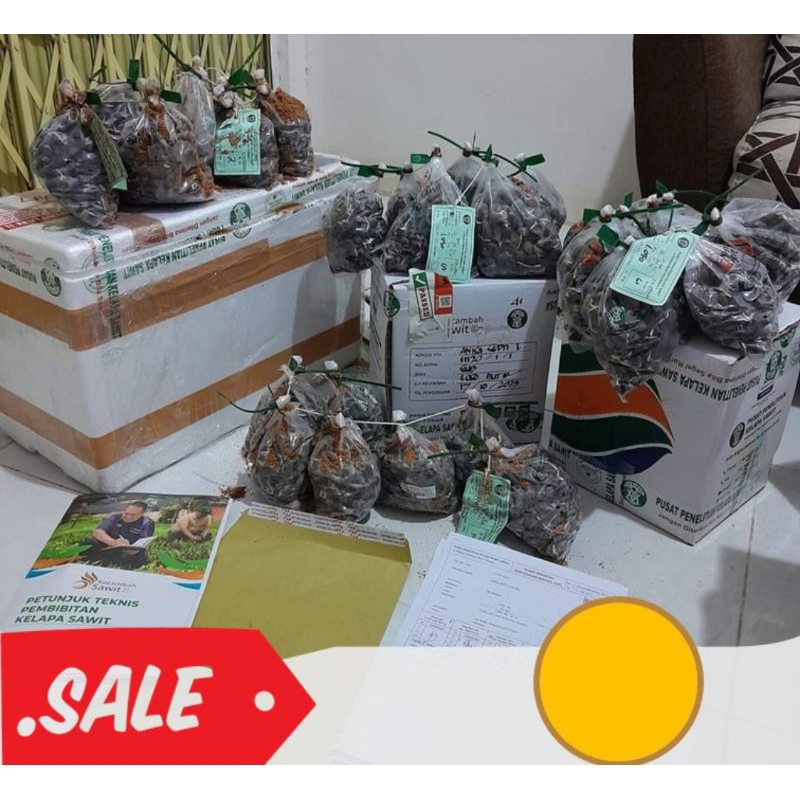 Benih Sawit Unggul DxP SOCFINDO YANGAMBI