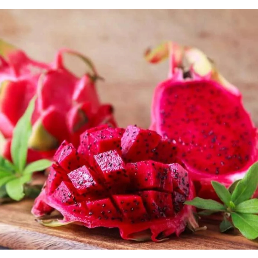 

LOLA Langsung Order Langsung Antar Buah Naga Merah Red Dragonfruit 1 buah