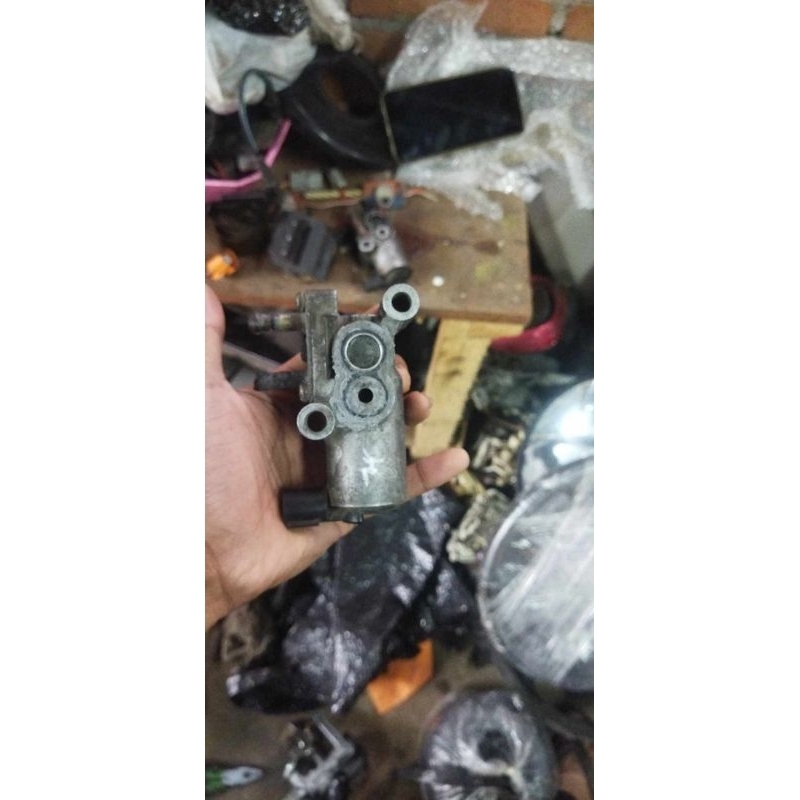 iacv civic genio,ferio