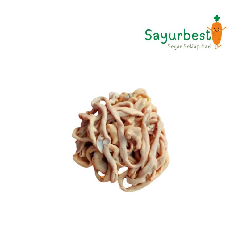 

(PO KIRIM BESOK) Usus Ayam