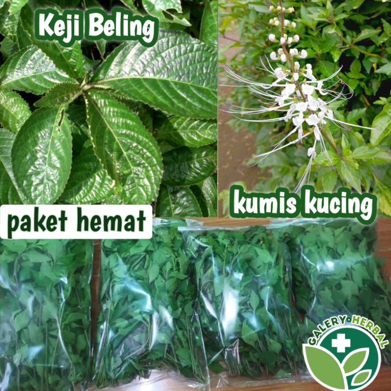 

Daun Kumis Kucing + Keji Beling Segar Petik Dadakan - Paket Hemat 100gr