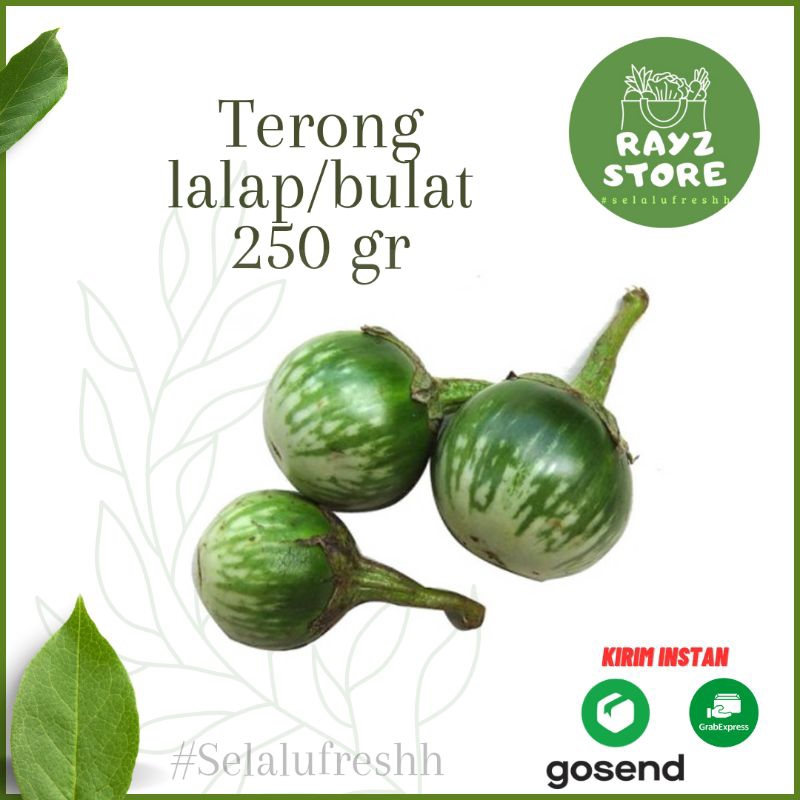 

Terong Lalap/Terong bulet hijau 250 gr