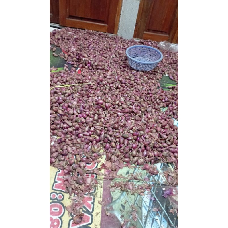 

Bawang merah BREBES NO 1 (BESAR) Garing