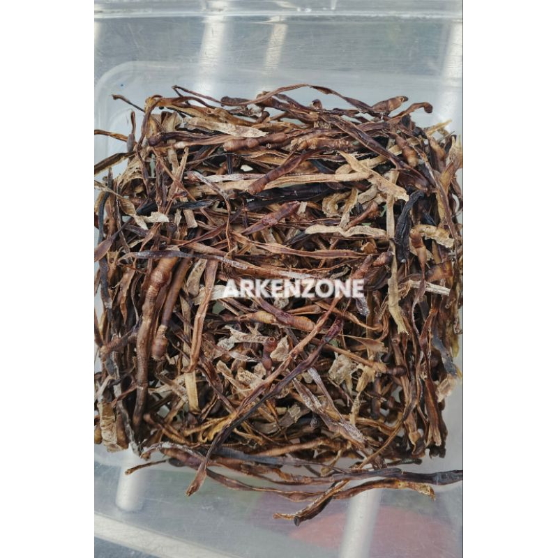 

cacing kering dilong premium grade A