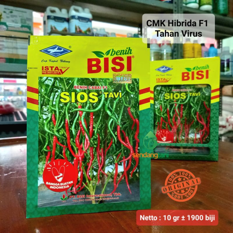 SIOS Tavi F1 Benih Bibit Cabe Merah Keriting Super Tahan Gemini Virus dari PT Bisi Cap Kapal Terbang