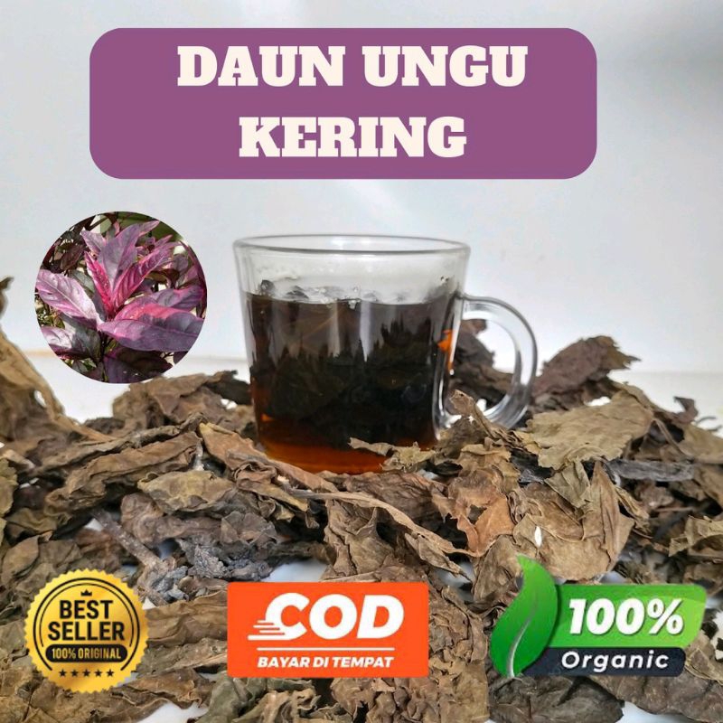 

Daun ungu untuk obat wasir Ambeien 100% ORYGINAL