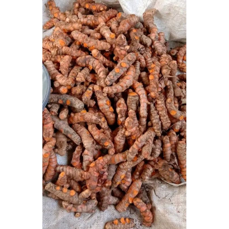 

KUNYIT SAYUR FRESH 1KG BUMBU DAPUR