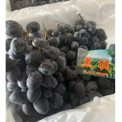 

anggur auntum 1 kg