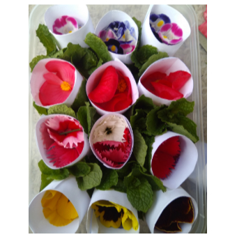 

Mix edible flowers - Mix besarkecil