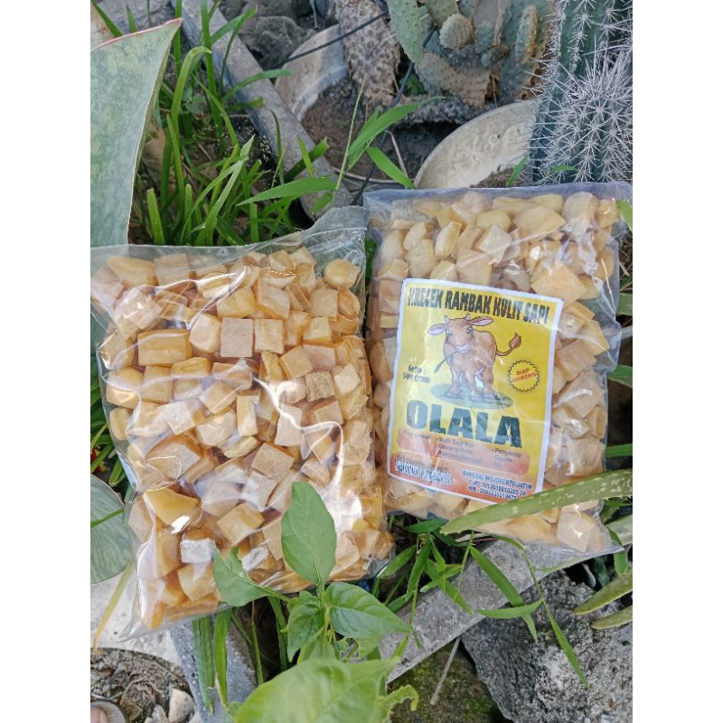 

Maknyuss1 Krecek Rambak Kulit Sapi/Krecek Rambak Mentah/Dorokdok/Rambak Mentah/Krupuk Rambak/Rambak