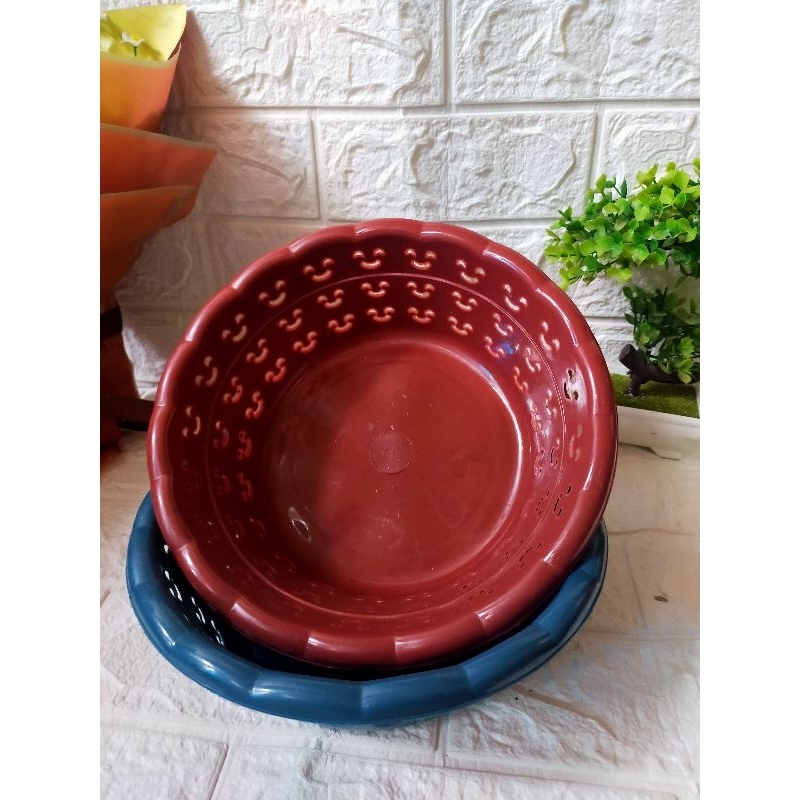 (12pcs) Wakul Ceria 12 super/Wakul Viral/Wakul Murah