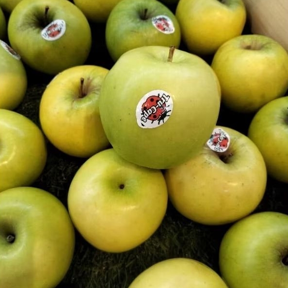 Apel Hijau Granny Smith