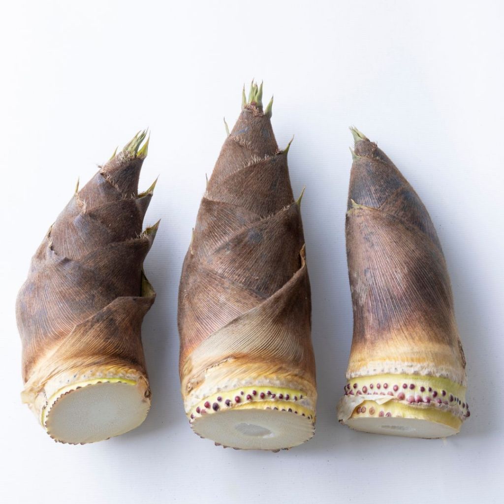 

[PURE] Rebung Kering Malang - Dried Bamboo Natural Original Java - Vegan Friendly