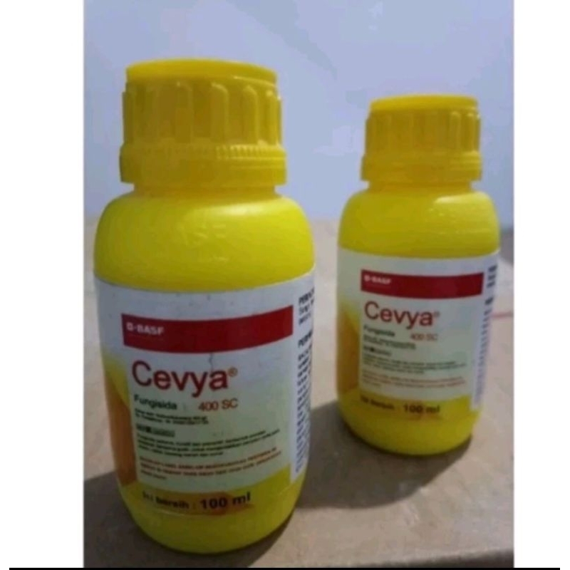 Cevya 100 ml