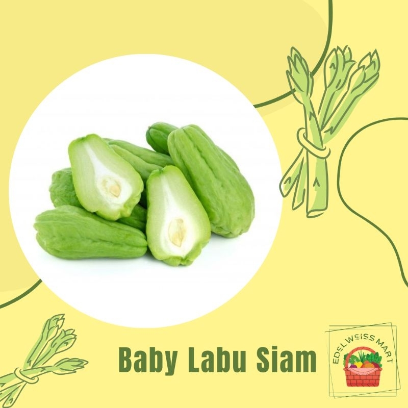 

BABY LABU SIAM 500g (FRESH) - INSTANT SEMARANG