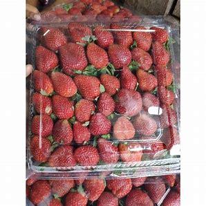 

STRAWBERY FROZEN/BUAH BEKU/STRAWBERY KERING 500 GRAM