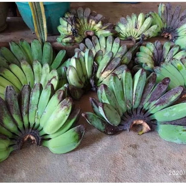 

pisang kepok super 1 sisir/per lirang