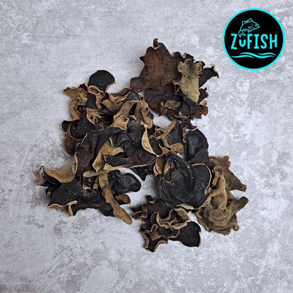 

ZuFish - Jamur Kuping Kering 25 Gram