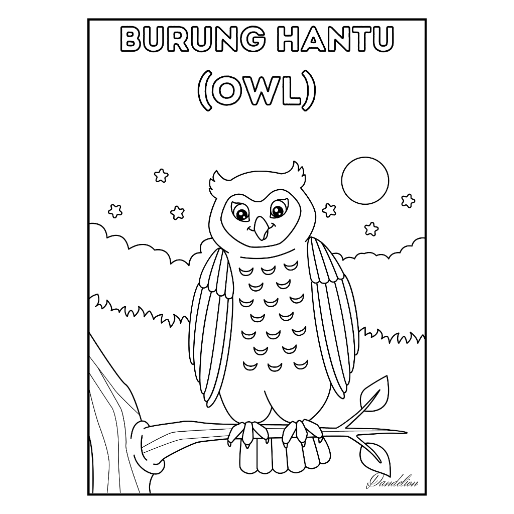 

Kertas Mewarnai: Burung Hantu (OWL)