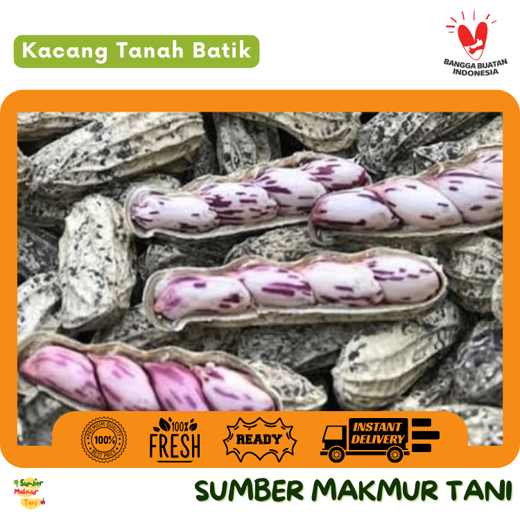 

Kacang Tanah Madu Batik 500 gr Mentah – Renyah, Gurih & Kaya Rasa, Camilan Sehat yang Nikmat