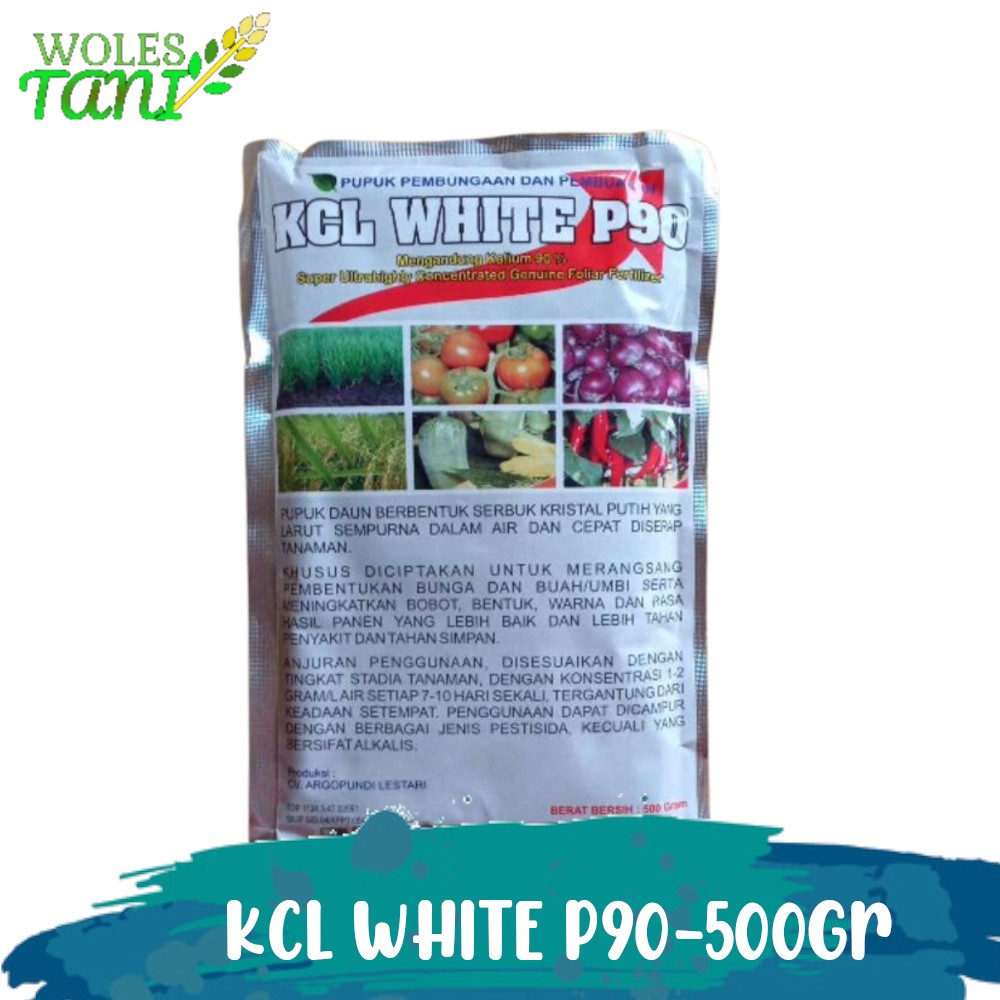 KCL White KCL Putih P90 500 Gram Pembesar Umbi