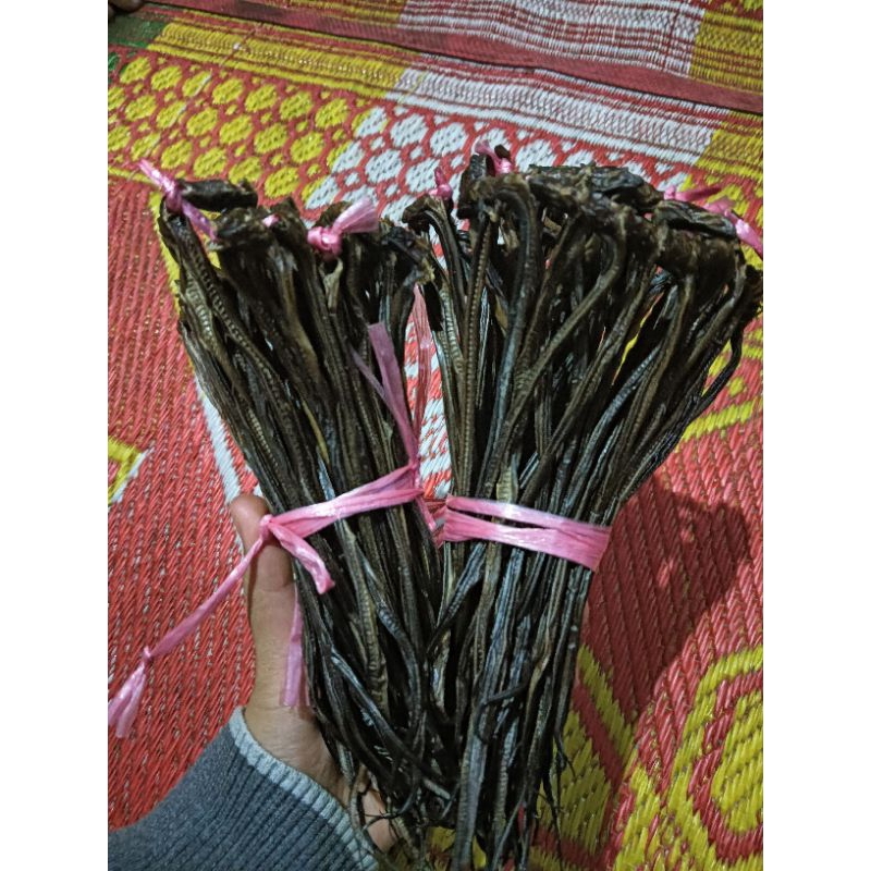 

Belut kering
