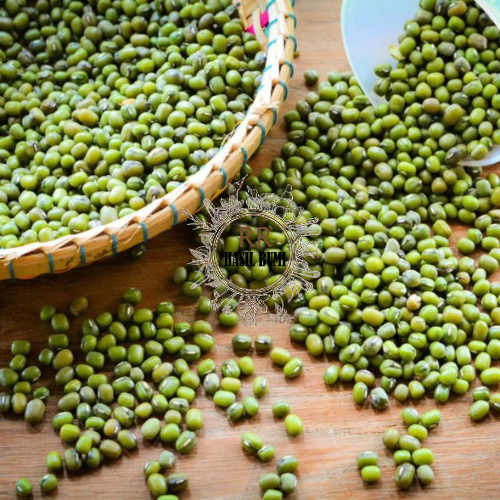 

KACANG HIJAU BUBUR Kualitas Super Import 5KG