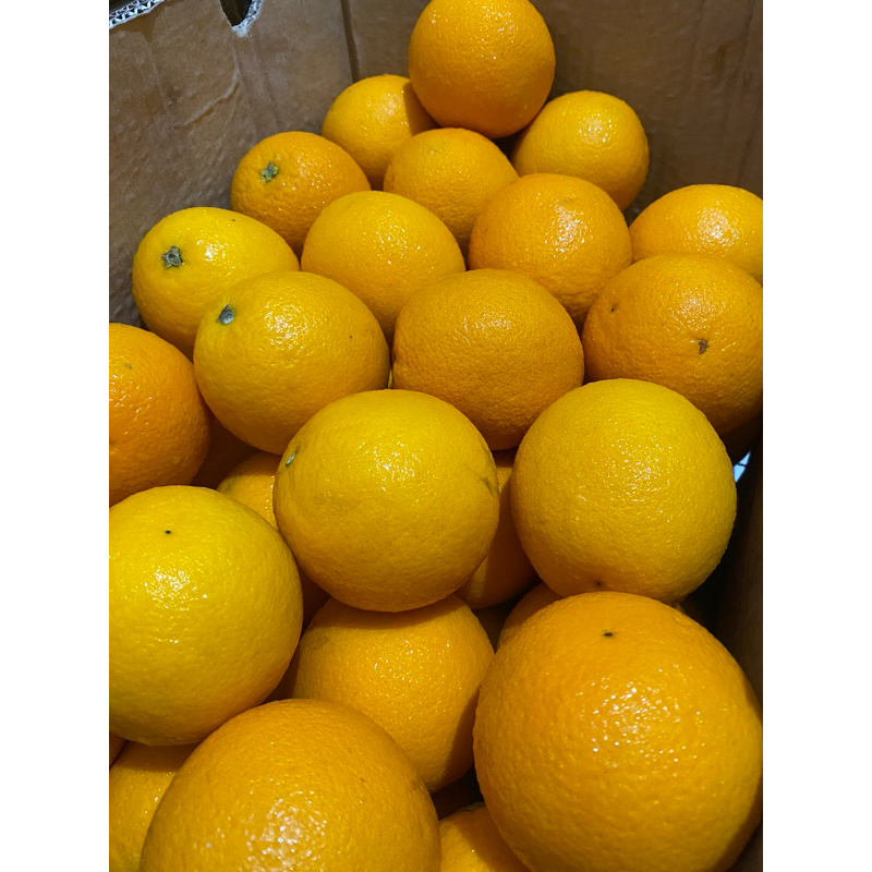 

Jeruk Sunkist Standard Juice 1kg