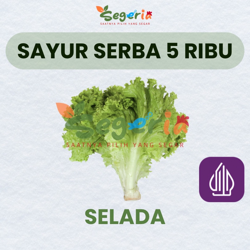 

SELADA -Sayur Serba 5 ribu