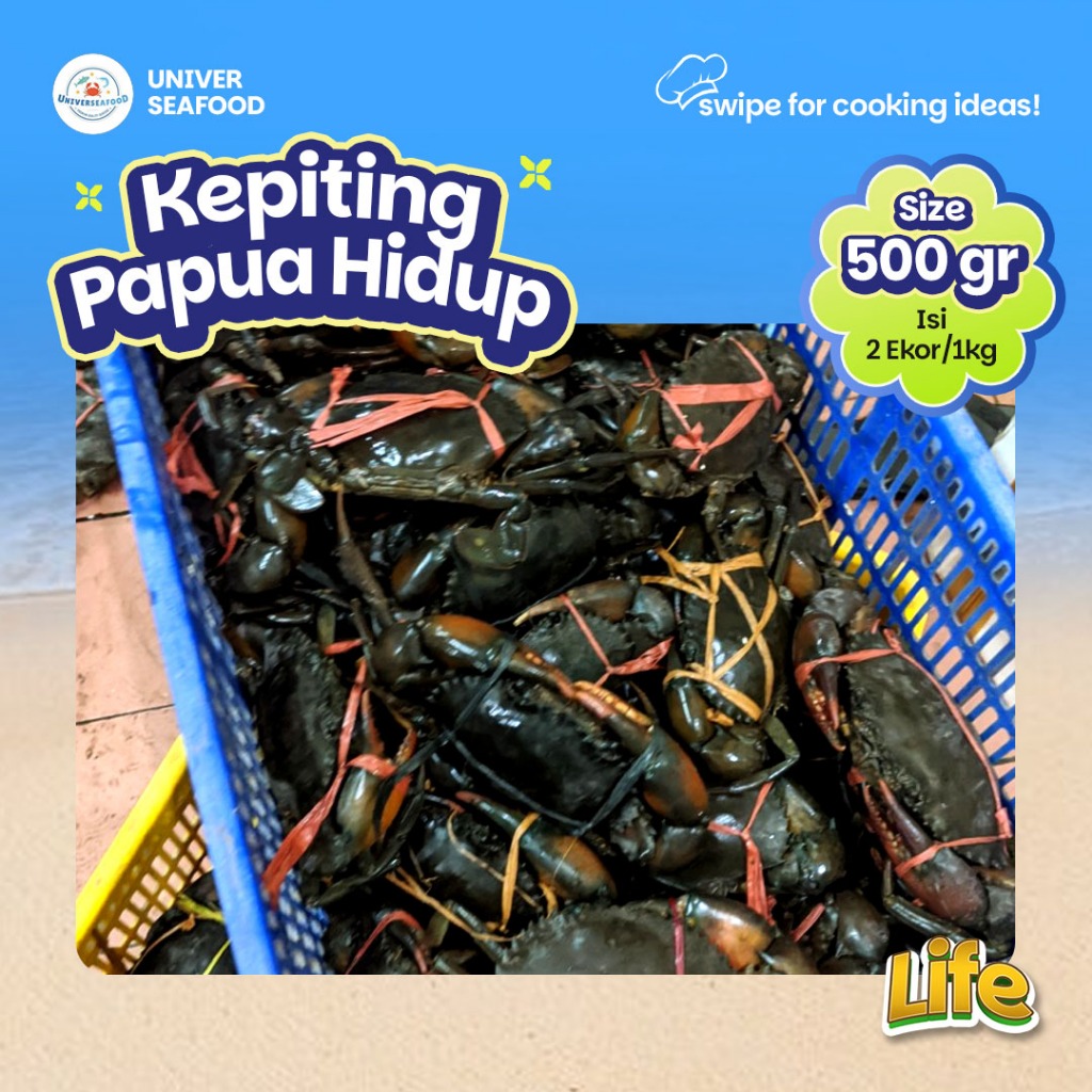 

Kepiting Papua Jantan Hidup 500gr/kg