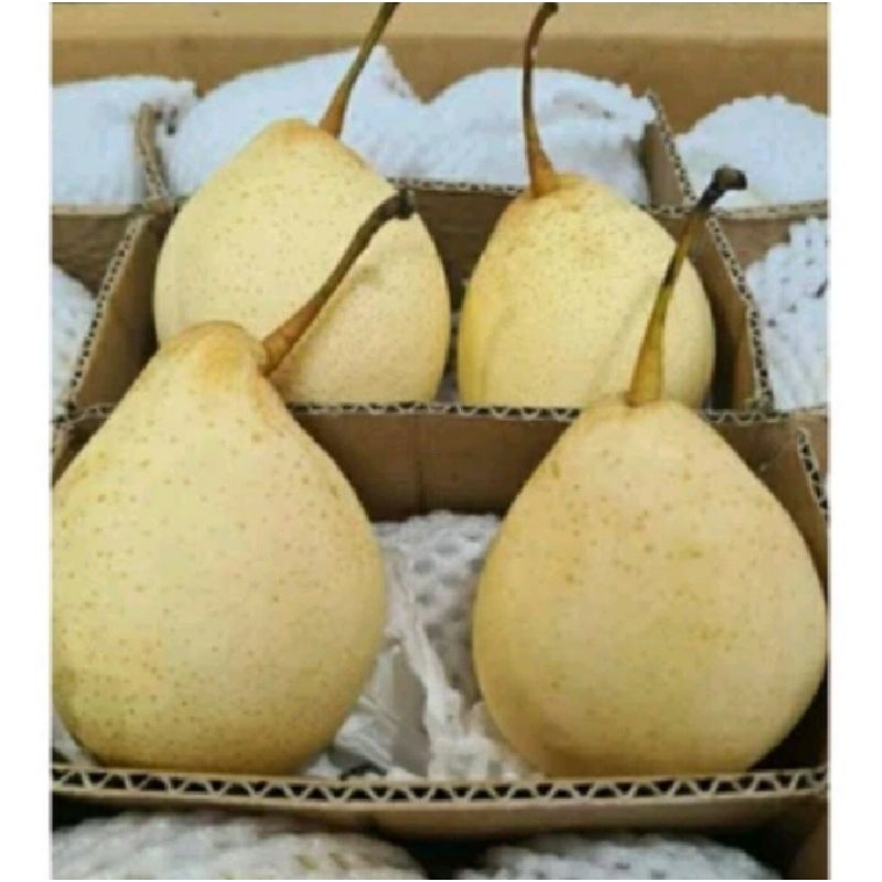 

Pier Yallie 1kg