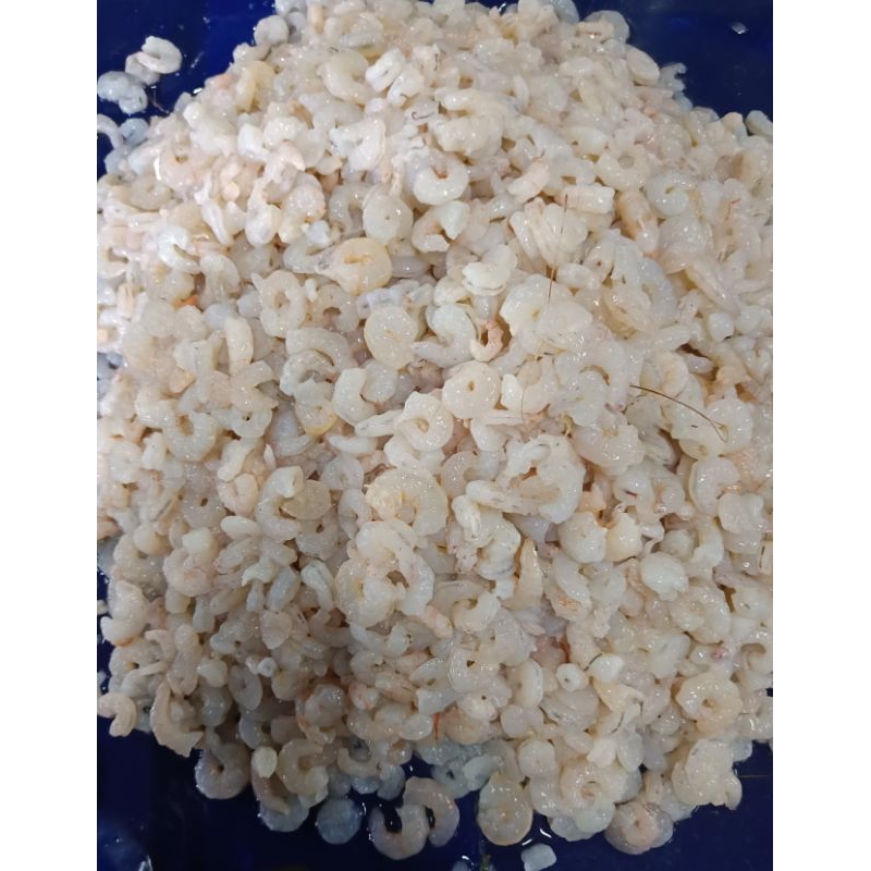 

Udang Kupas Frozen ( Semi Cook)